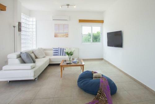 ?imagine Renting A Villa With Very Large Pool? Protaras Villa 98