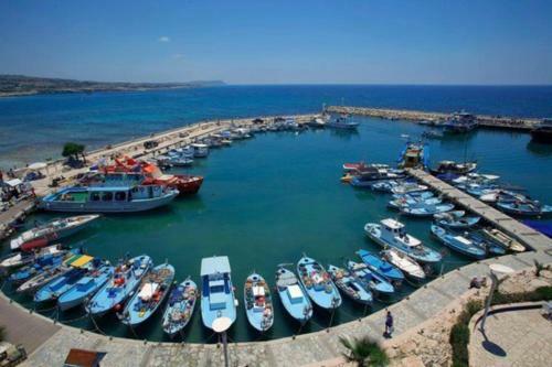 ?imagine Renting A Villa With Very Large Pool? Protaras Villa 98