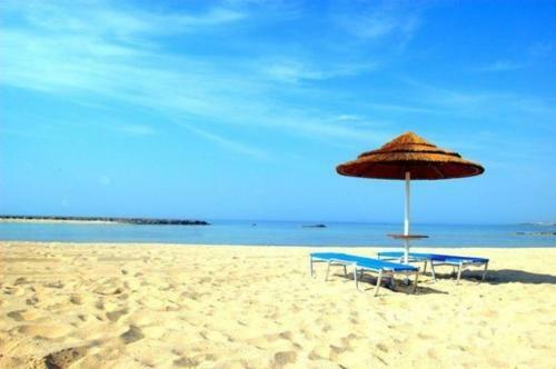 ?imagine Renting A Villa With Very Large Pool? Protaras Villa 98