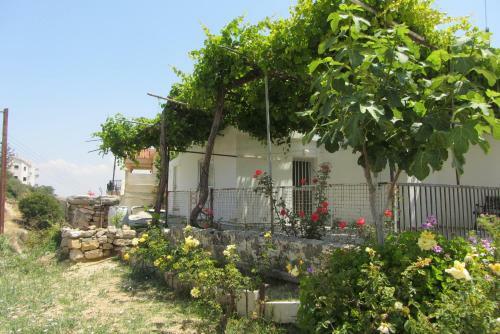 Hostal Pissouri Village House