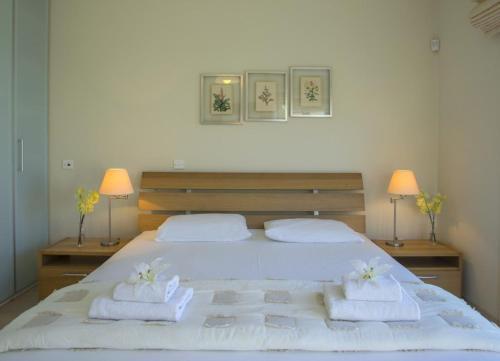 ?imagine Renting This Luxury Villa? Protaras Villa 24