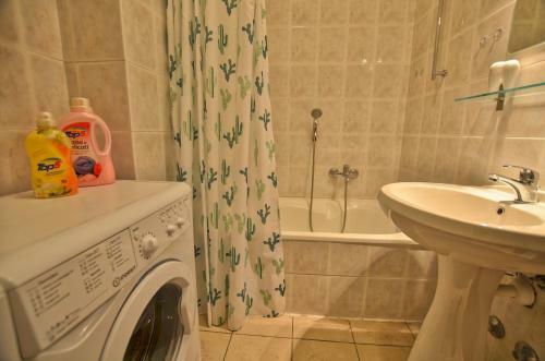 Apartamento Camelia