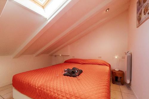 Apartamento Mimosa