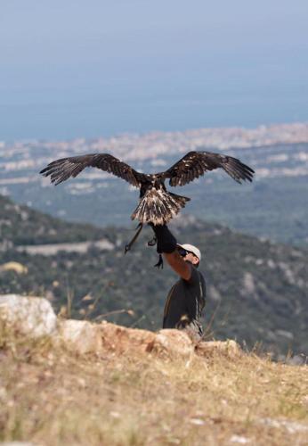 Bed & Breakfast Il Trullo Dell'agricoltore