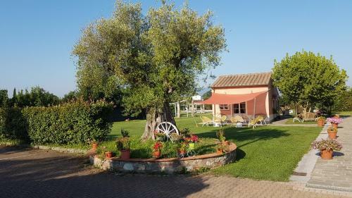 Bed & Breakfast Casal Sant'elena