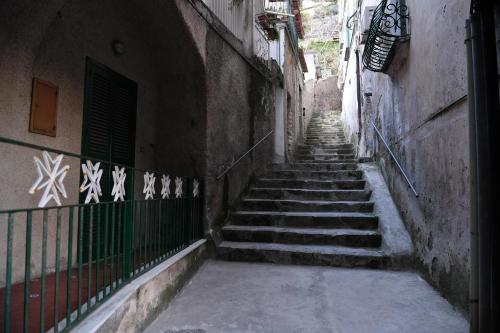 Apartamento Angela House