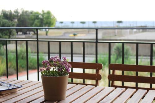 Mare Apartments