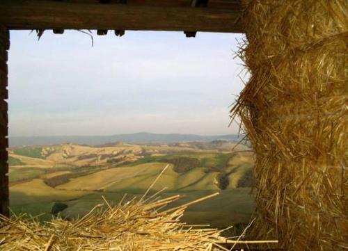 Apartamento Agriturismo Le Crete