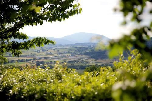 Apartamento Country House Le Colombe Assisi