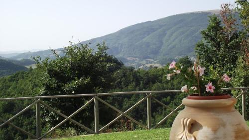Agroturismo Agriturismo Paradiso 44