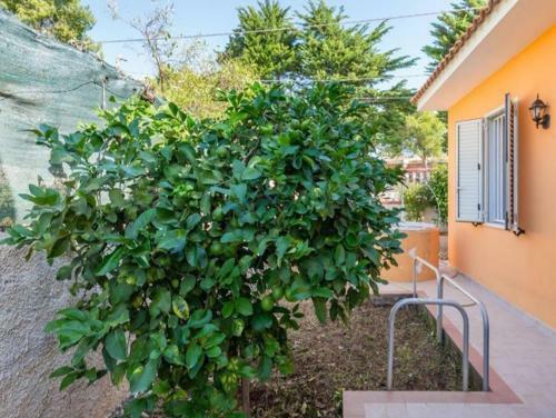 Villa Holiday Avola Leo