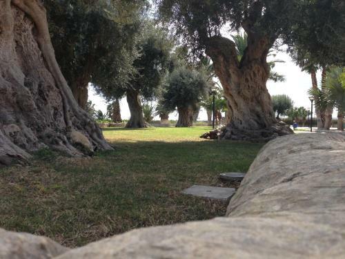 Agroturismo Castello Crisilio