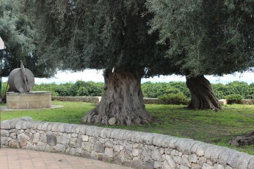 Agroturismo Castello Crisilio