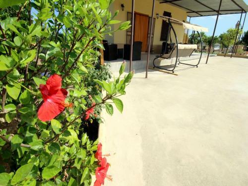 Villa Casa Vacanze Don Vittorio