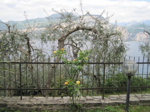 La Virgola Apartments