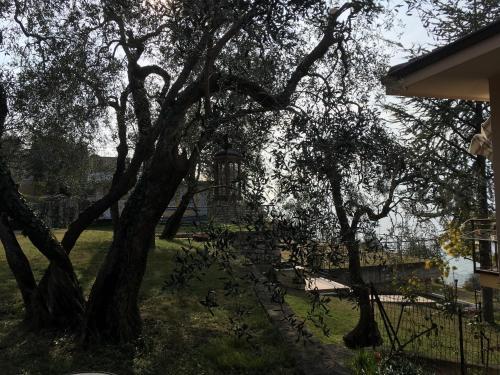 La Virgola Apartments
