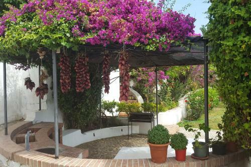 Apartamento Residence Albatros