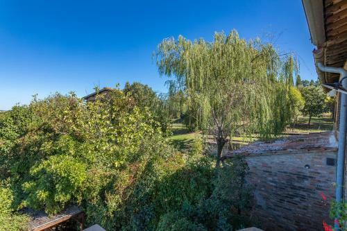 Agroturismo Podere Albereto