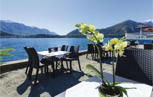 Apartamentos Luxury Britannia