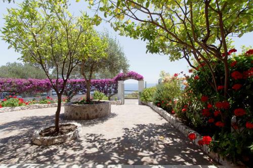 Apartamento Sos Dorroles
