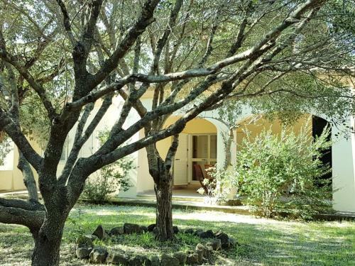 Scogliera Holiday Home