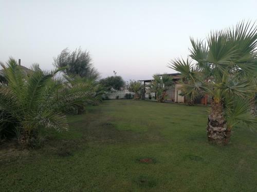 Casa Vacanze Pineta