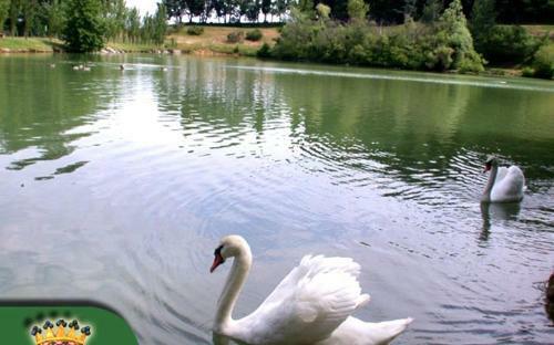 Il Castagno D'andrea Apartment Sleeps 4 Pool