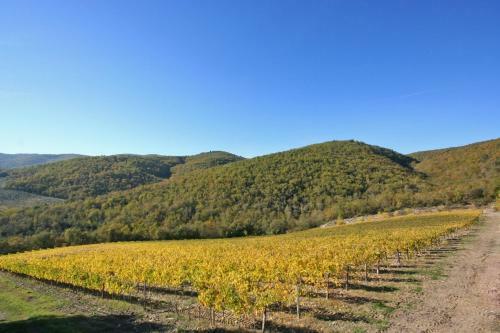 Castellina In Chianti Apartment Sleeps 6