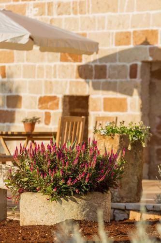 Agroturismo Casale Cambr�