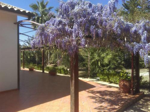 Villa Alexa Garden & Relax