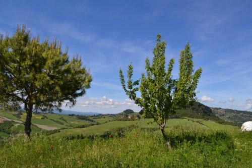 Apartment Loc. Palagione - 5