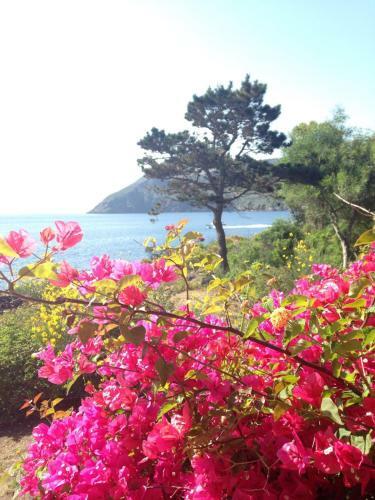 Hotel Jera' Resort & Circolo Velico