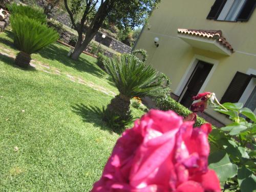 B&B Boutique Di Charme "etna-relax-natura"