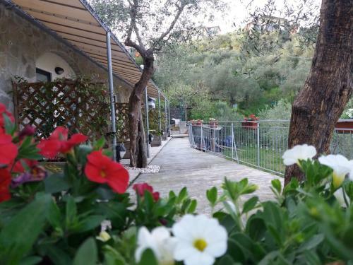 Hostal Affittacamere Arabafenice