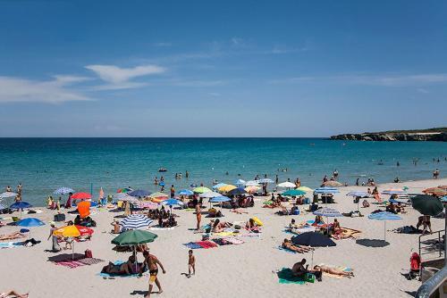 Holiday Villa Torre Dell'orso M566