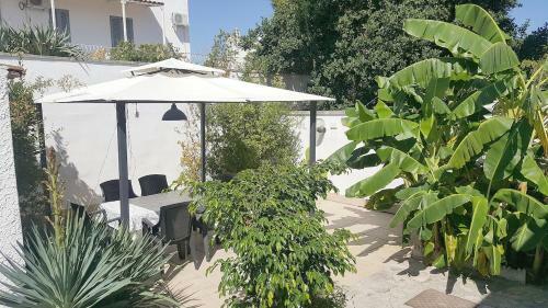 Villa Trilocale Con Giardino 91bis
