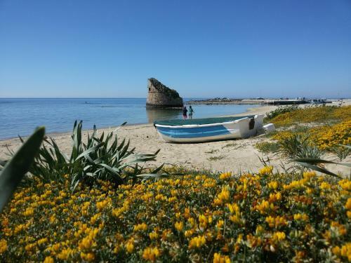 Apartamento Appartamento Nettuno