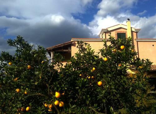 Agroturismo Agriturismo Su Canonigu