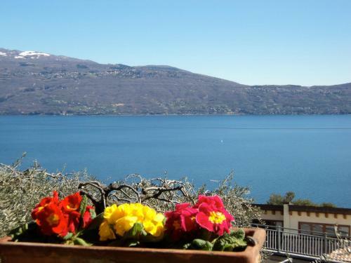 Bed & Breakfast Giardini Di Corte