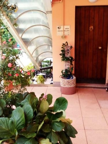 Hostal Alloggio Ponte Dei Cavalleggeri