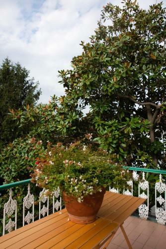 Apartamento Triestevillas Bonafata A Barcola Trieste