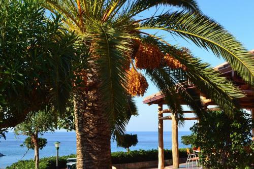 Apartamento Residence New Paradise