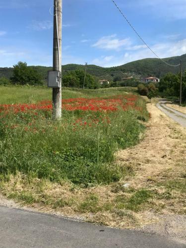 Apartamento Villa Roccaccia