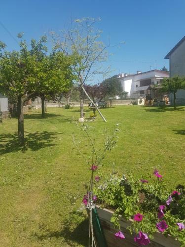 Apartamento Emanuela