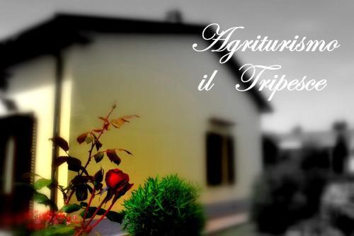 Agroturismo Agriturismo Il Tripesce