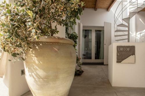 Apartamento Il Gabbiano Relais In Stromboli