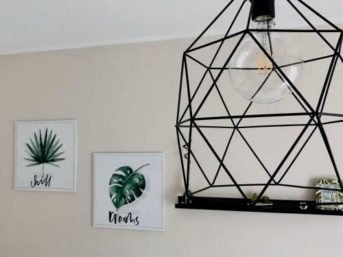 Apartamento Greenhouse 43