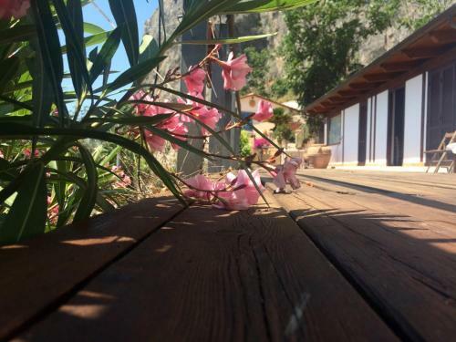 Apartamento Casa Paradiso