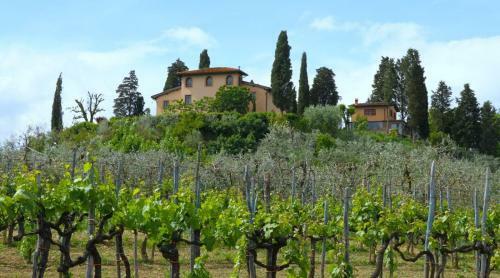 Terranuova Bracciolini Villa Sleeps 12 Pool Air Con