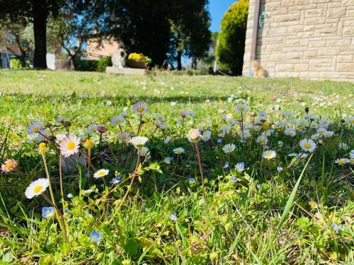 Bed & Breakfast Gli Elci